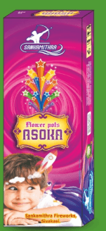 Flower Pots Ashoka